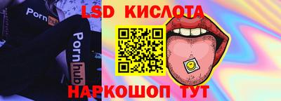 прущие крисы Кингисепп