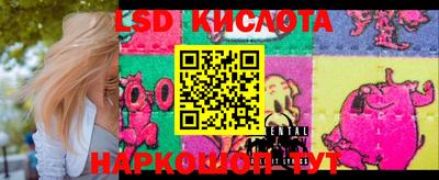 прущие крисы Кингисепп