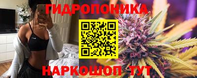 прущая мука Кимры