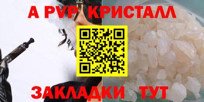прущие крисы Кингисепп