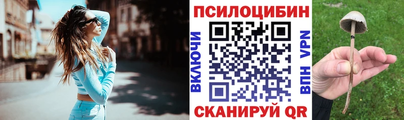 Галлюциногенные грибы Psilocybe  Кудымкар 