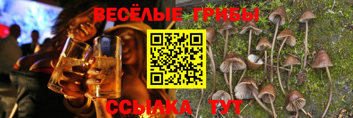 Псилоцибиновые грибы Magic Shrooms Кудымкар